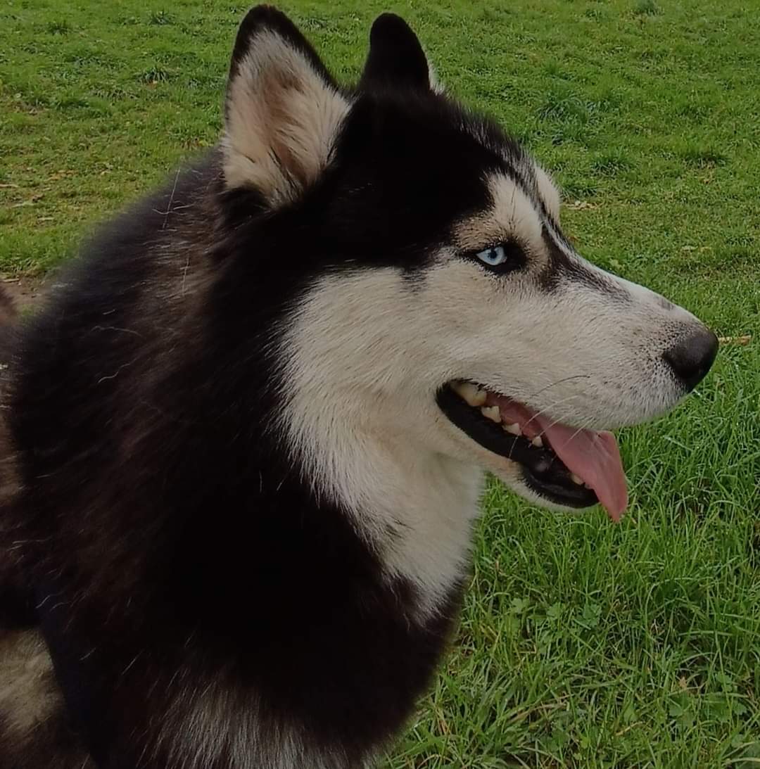 FB_IMG_1730817769642